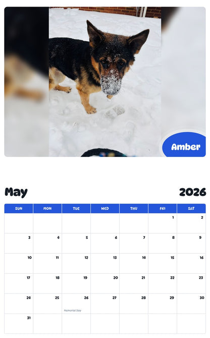 2026 - 2027 Amber - Pawidols Pet Calendar
