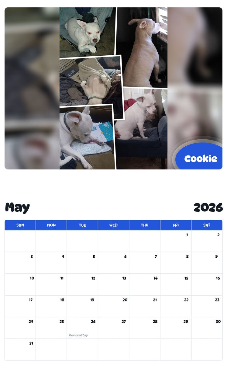 2026 - 2027 Cookie - Pawidols Pet Calendar