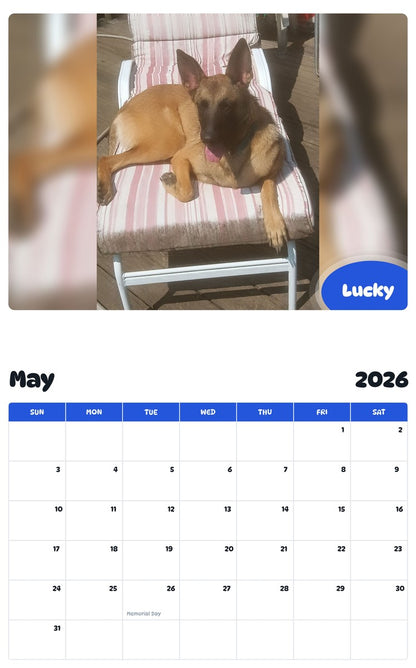 2026 - 2027 Lucky - Pawidols Pet Calendar