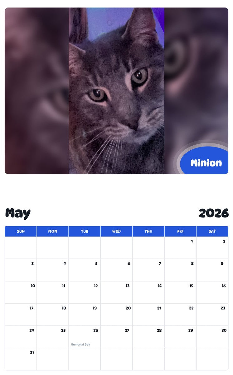 2026 - 2027 Minion - Pawidols Pet Calendar