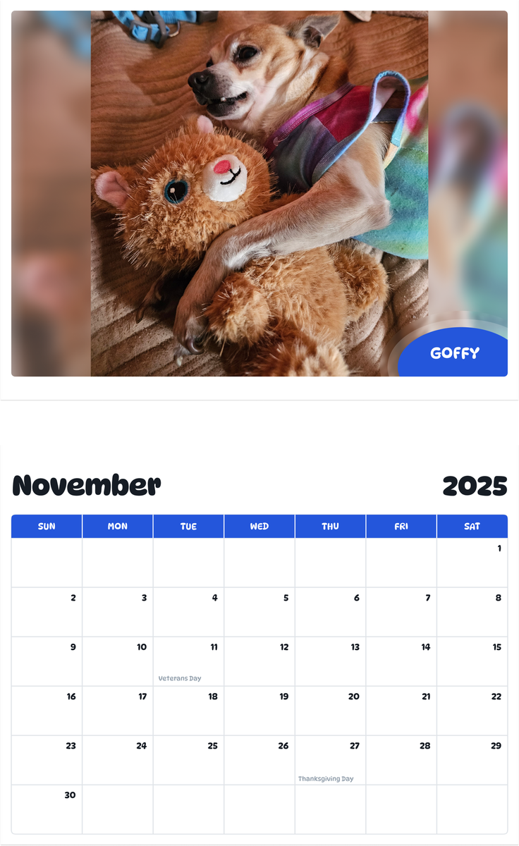 July 2025 - June 2026 Goffy - Pawidols Pet Calendar