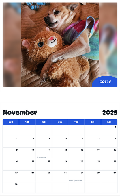 July 2025 - June 2026 Goffy - Pawidols Pet Calendar