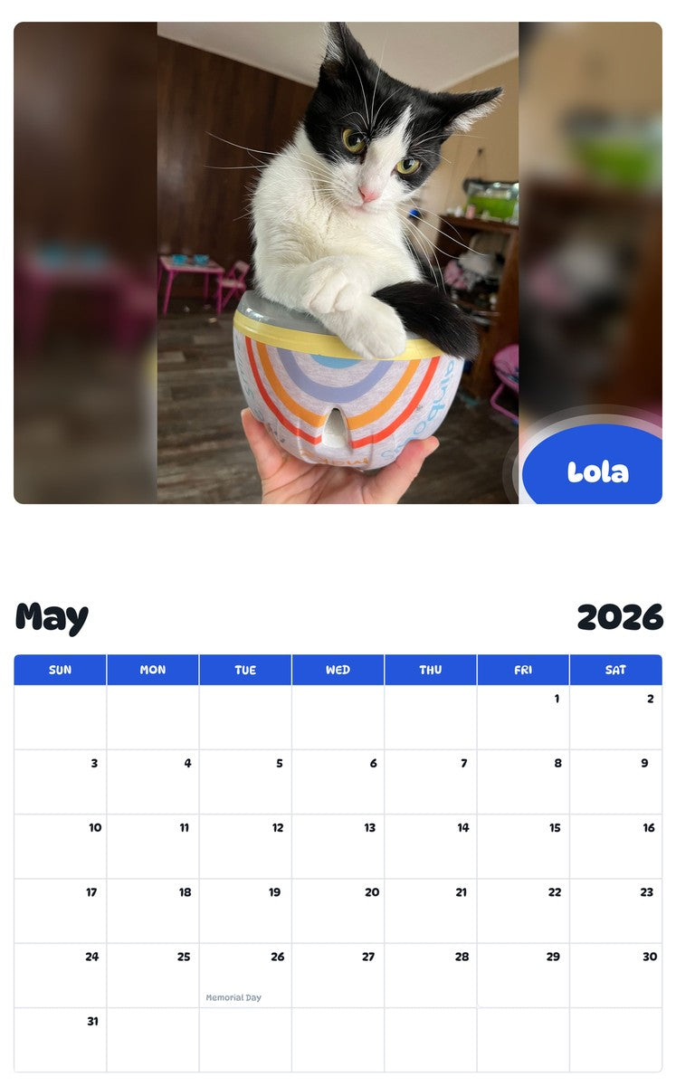 2026 - 2027 Lola - Pawidols Pet Calendar