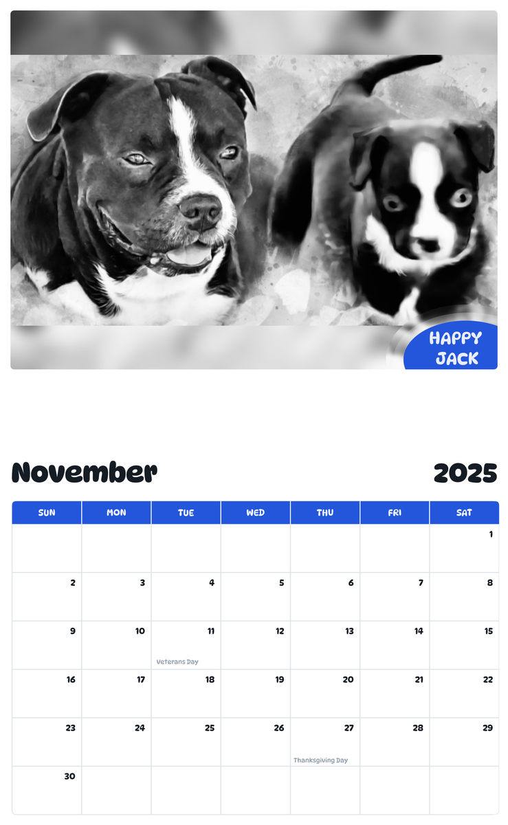 July 2025 - June 2026 Happy Jack - Pawidols Pet Calendar