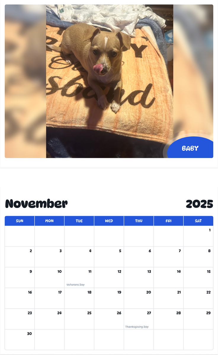 July 2025 - June 2026 Baby - Pawidols Pet Calendar