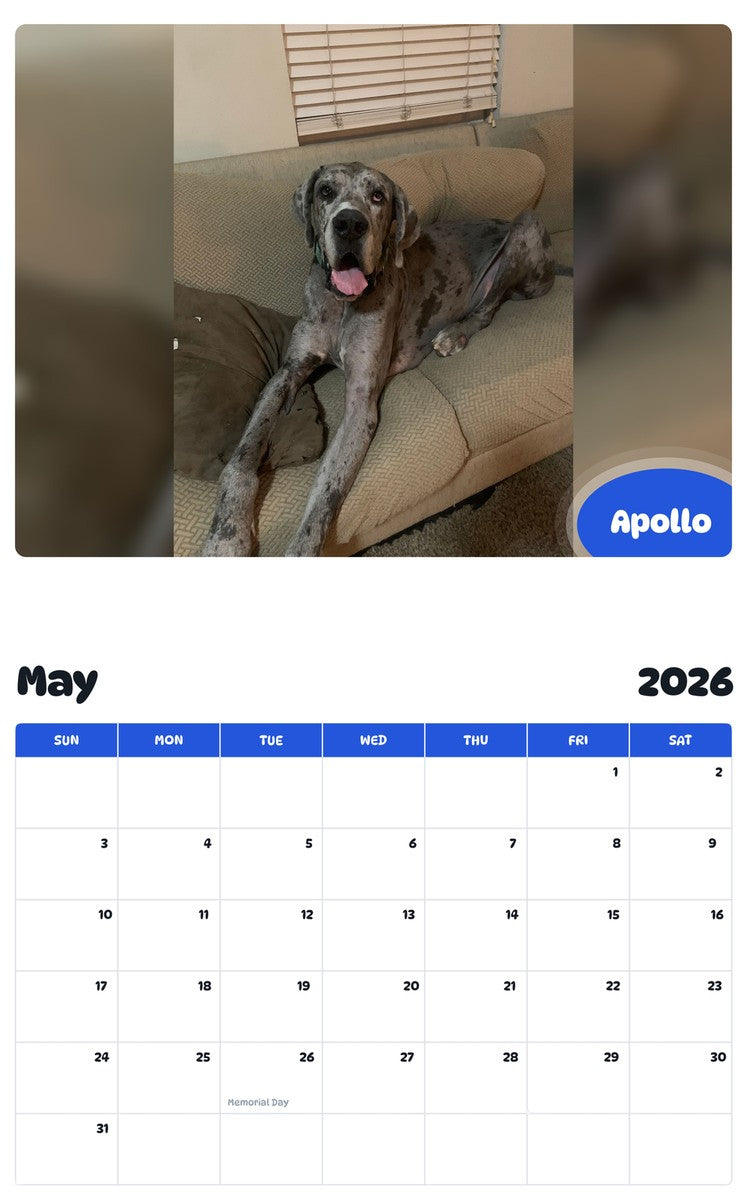 2026 - 2027 Apollo - Pawidols Pet Calendar