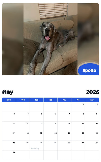 2026 - 2027 Apollo - Pawidols Pet Calendar