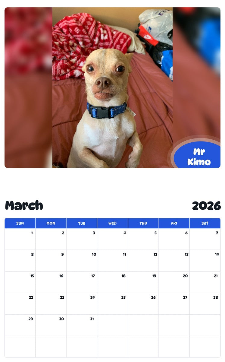 November 2025 - October 2026 Mr Kimo - Pawidols Pet Calendar