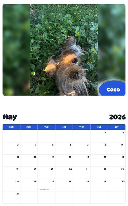 2026 - 2027 Coco - Pawidols Pet Calendar