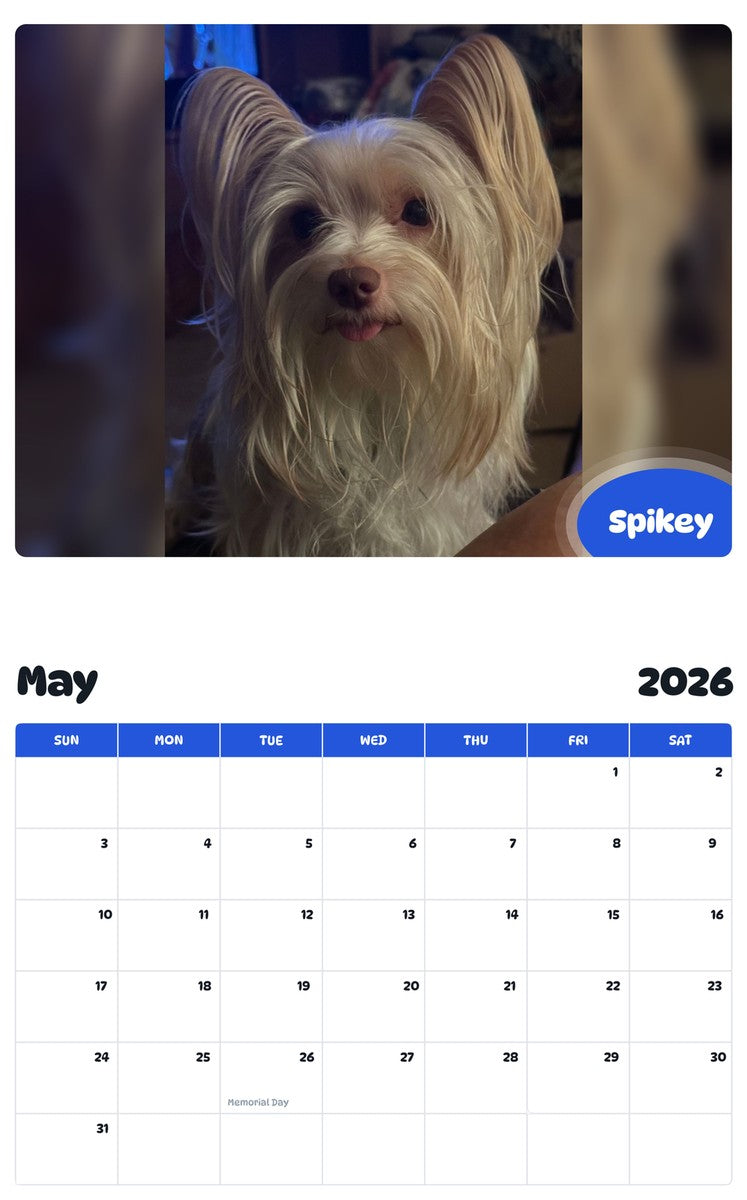 2026 - 2027 Spikey - Pawidols Pet Calendar