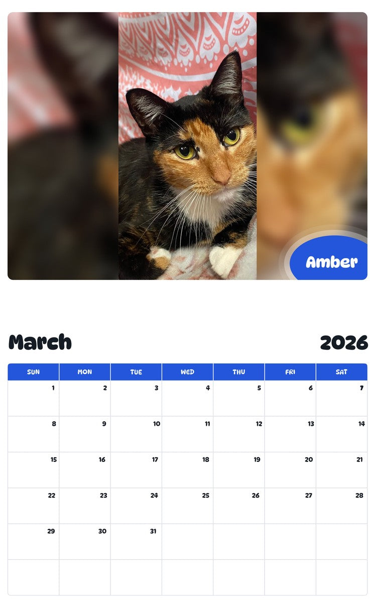 November 2025 - October 2026 Amber - Pawidols Pet Calendar