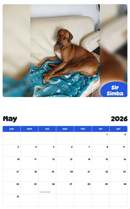 2026 - 2027 Sir Simba - Pawidols Pet Calendar