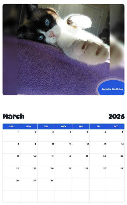 November 2025 - October 2026 Jazzmine Bandit Blue - Pawidols Pet Calendar