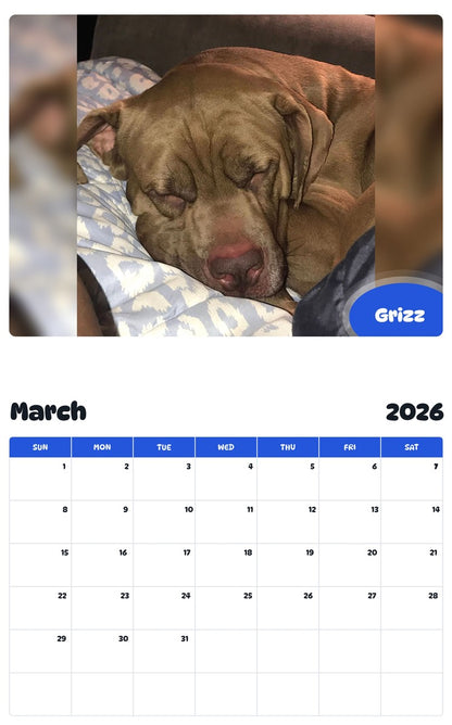 November 2025 - October 2026 Grizz - Pawidols Pet Calendar