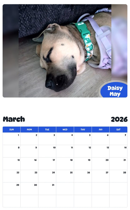 November 2025 - October 2026 Daisy May - Pawidols Pet Calendar