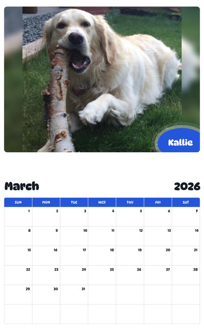 November 2025 - October 2026 Kallie - Pawidols Pet Calendar