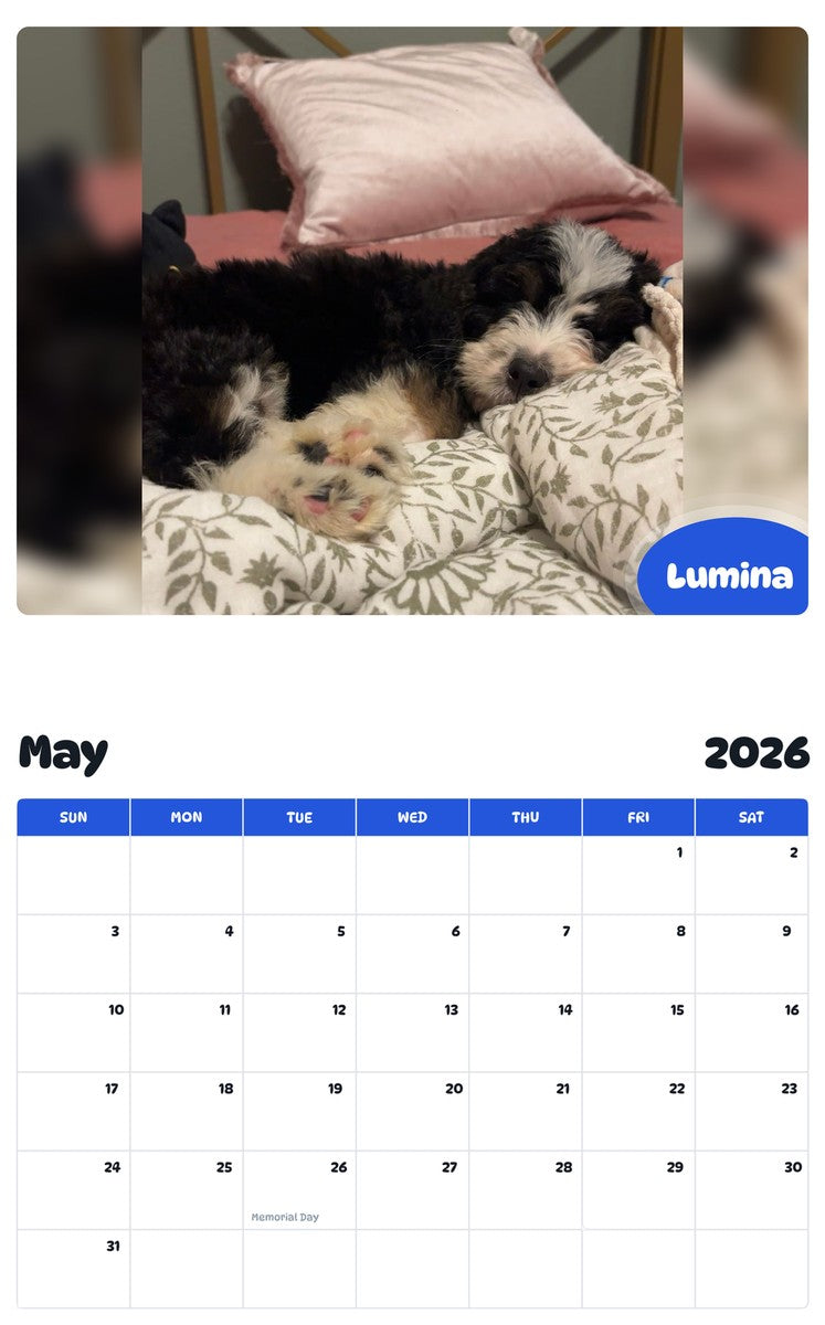 2026 - 2027 Lumina - Pawidols Pet Calendar