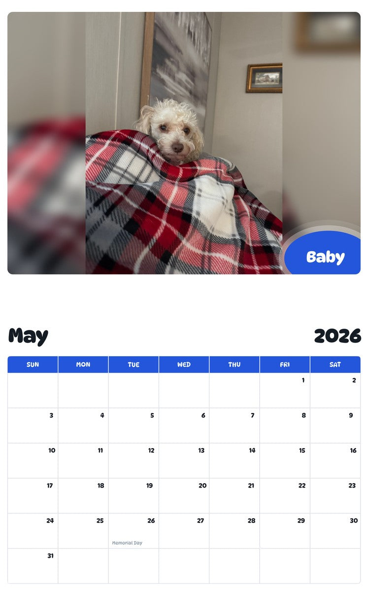 2026 - 2027 Baby - Pawidols Pet Calendar