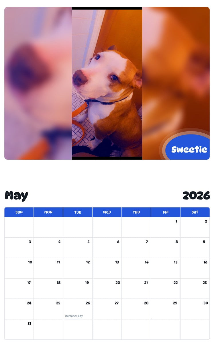 2026 - 2027 Sweetie - Pawidols Pet Calendar