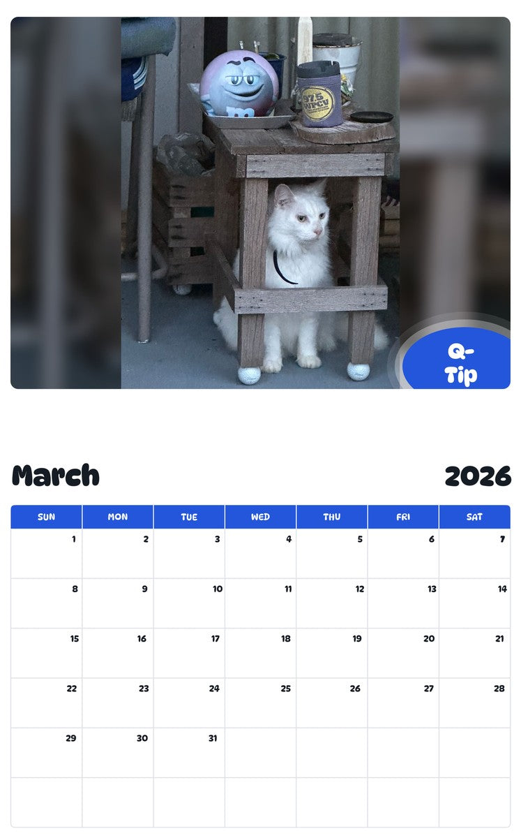November 2025 - October 2026 Q-Tip - Pawidols Pet Calendar