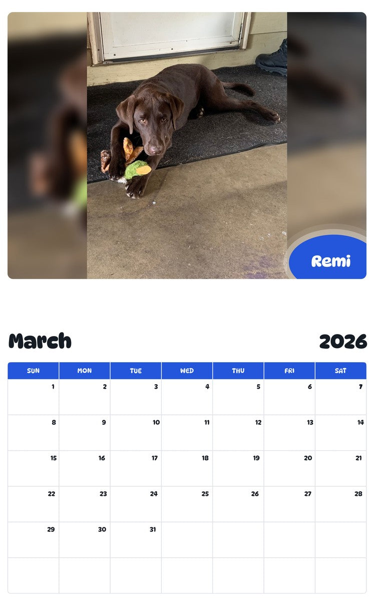 November 2025 - October 2026 Remi - Pawidols Pet Calendar