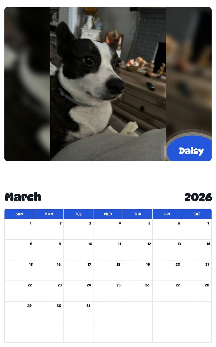 November 2025 - October 2026 Daisy - Pawidols Pet Calendar