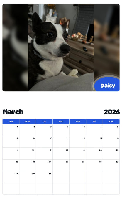 November 2025 - October 2026 Daisy - Pawidols Pet Calendar