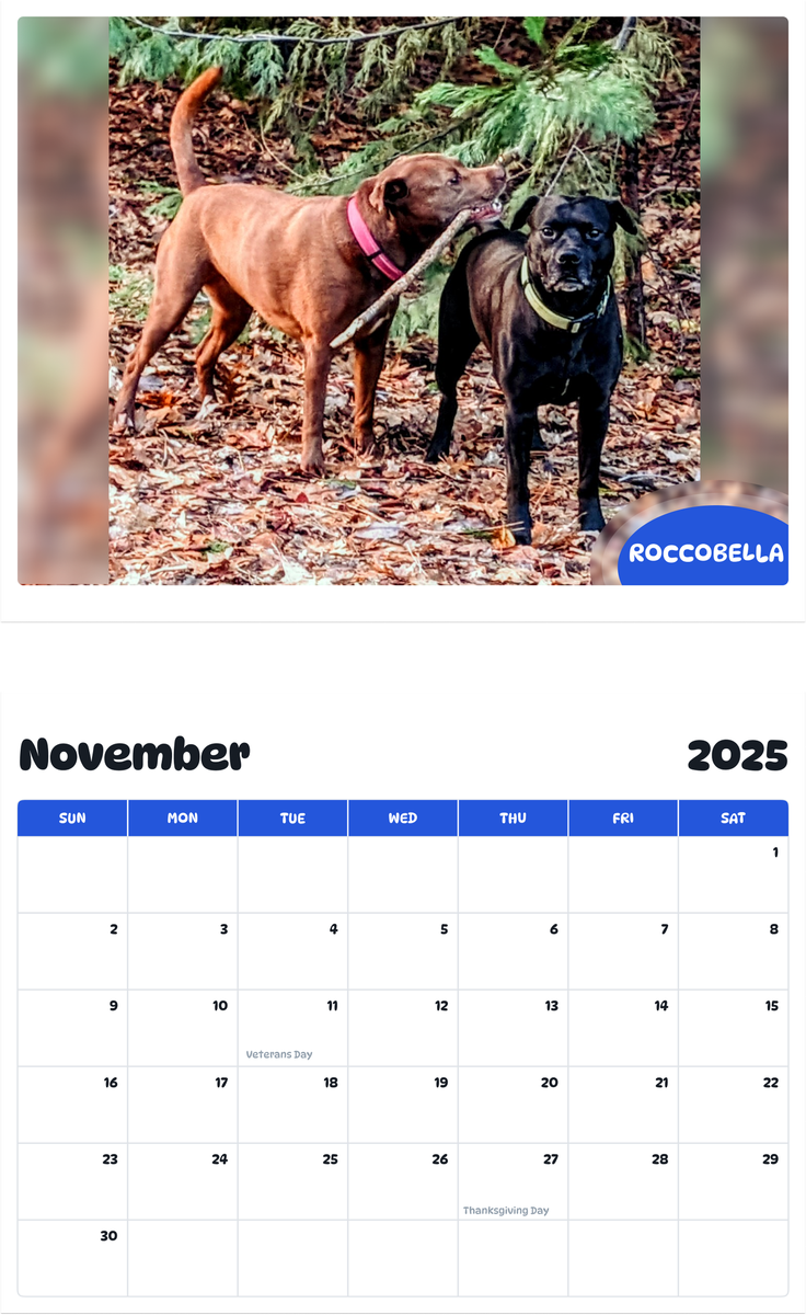 July 2025 - June 2026 RoccoBella - Pawidols Pet Calendar