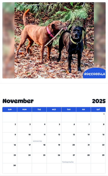 July 2025 - June 2026 RoccoBella - Pawidols Pet Calendar