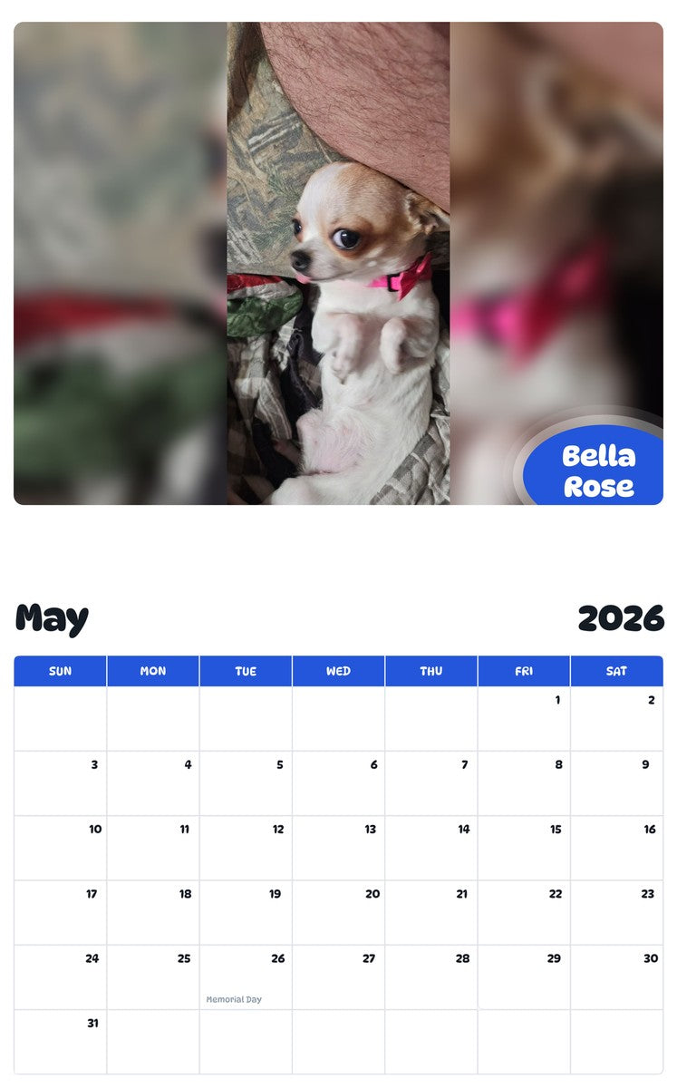 2026 - 2027 Bella Rose - Pawidols Pet Calendar