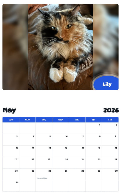 2026 - 2027 Lily - Pawidols Pet Calendar
