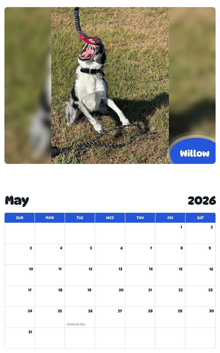 2026 - 2027 Willow - Pawidols Pet Calendar