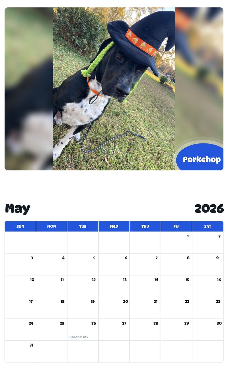2026 - 2027 Porkchop - Pawidols Pet Calendar