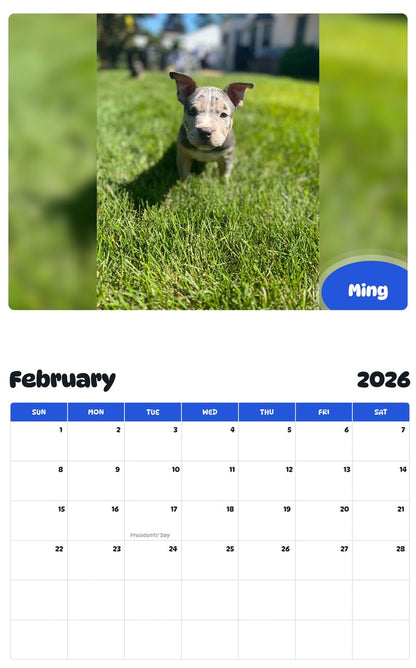 November 2025 - October 2026 Ming - Pawidols Pet Calendar