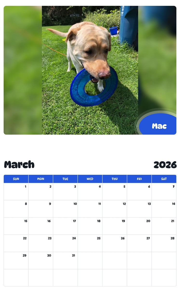 November 2025 - October 2026 Mac - Pawidols Pet Calendar