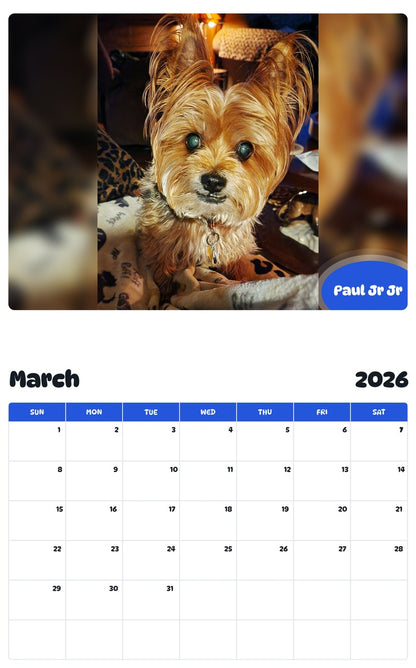 November 2025 - October 2026 Paul Jr Jr - Pawidols Pet Calendar