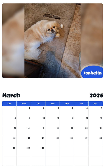 November 2025 - October 2026 Isabella - Pawidols Pet Calendar