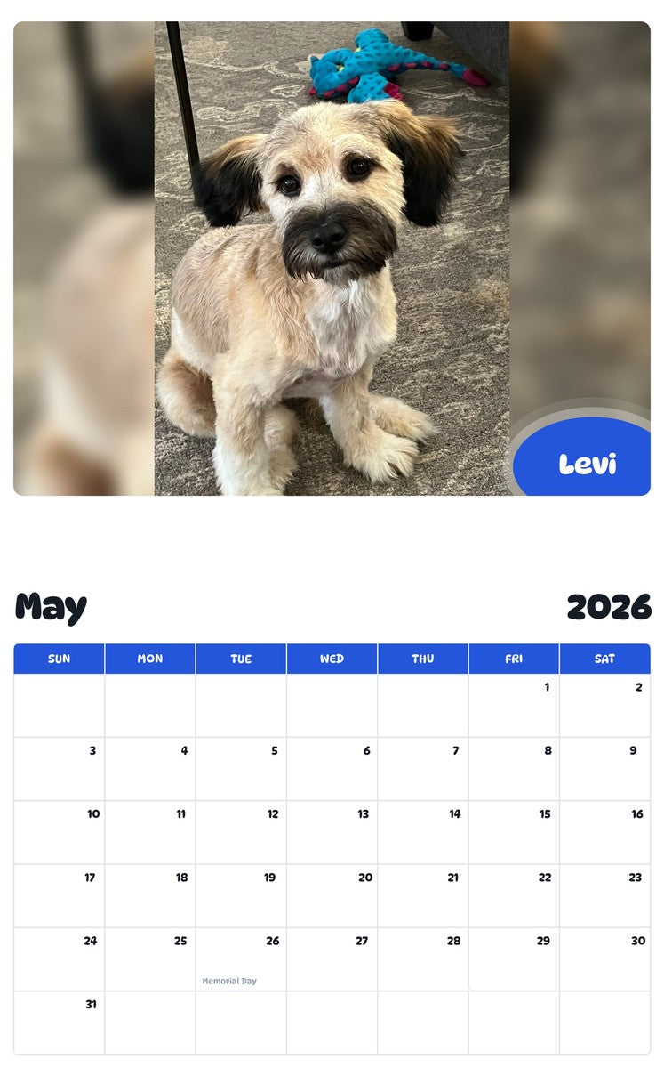 2026 - 2027 Levi - Pawidols Pet Calendar