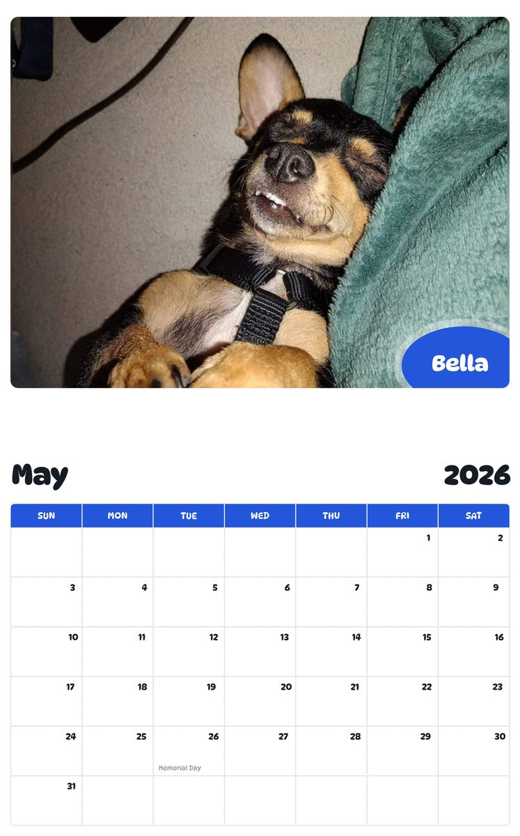 2026 - 2027 Bella - Pawidols Pet Calendar
