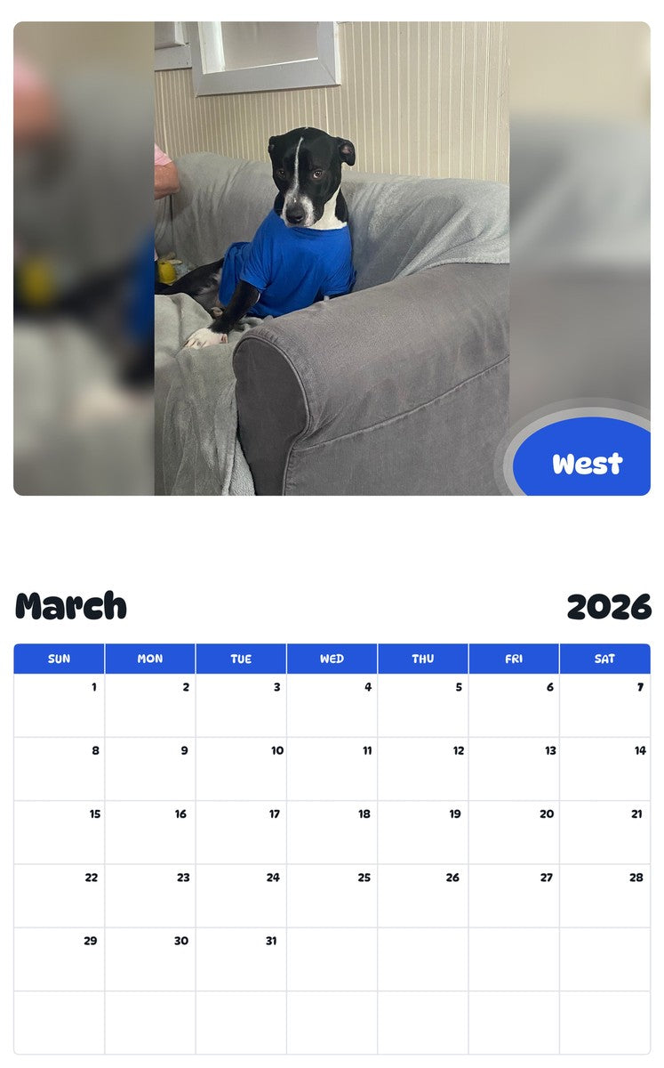 November 2025 - October 2026 West - Pawidols Pet Calendar