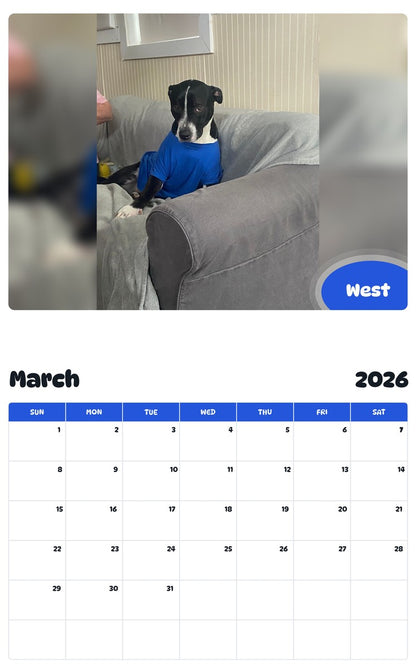 November 2025 - October 2026 West - Pawidols Pet Calendar