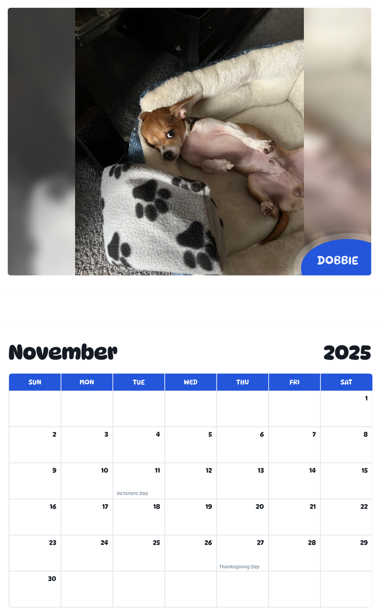 July 2025 - June 2026 Dobbie - Pawidols Pet Calendar