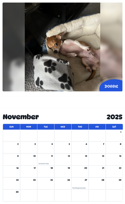 July 2025 - June 2026 Dobbie - Pawidols Pet Calendar