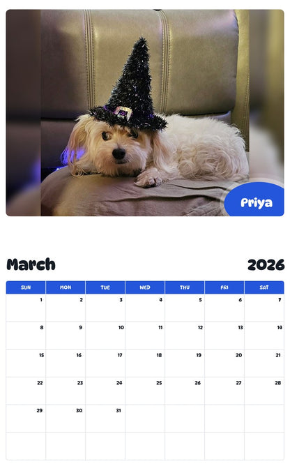 November 2025 - October 2026 Priya - Pawidols Pet Calendar