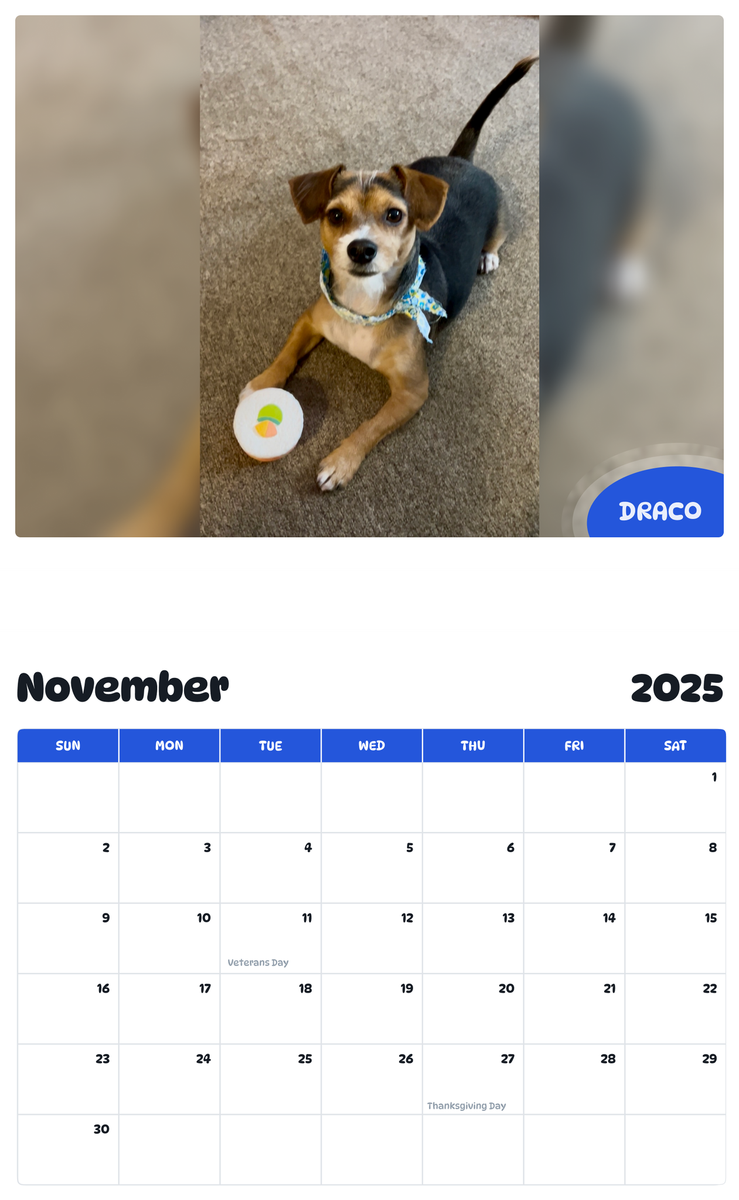 July 2025 - June 2026 DRACO - Pawidols Pet Calendar