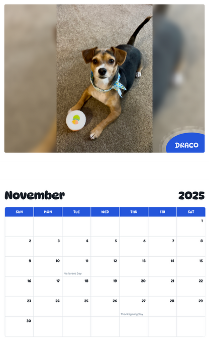 July 2025 - June 2026 DRACO - Pawidols Pet Calendar