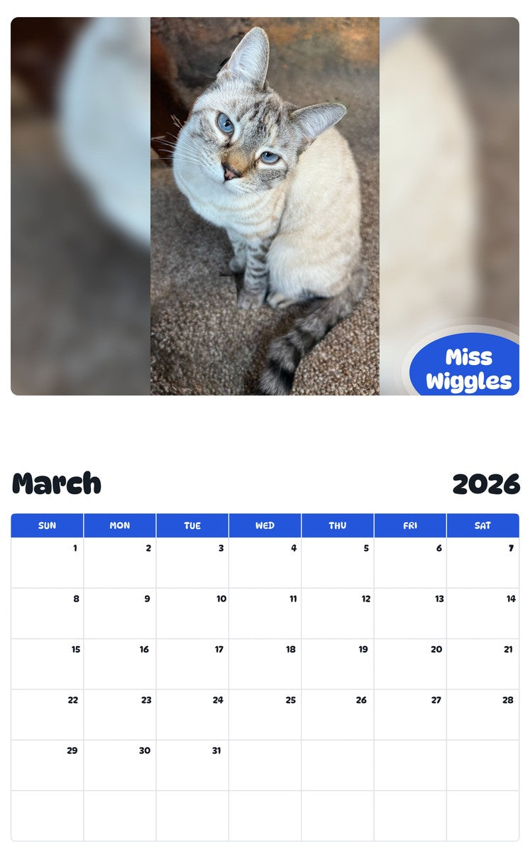 November 2025 - October 2026 Miss Wiggles - Pawidols Pet Calendar