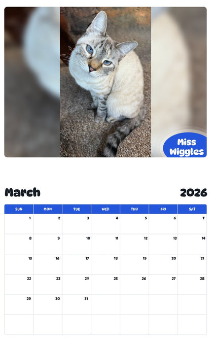 November 2025 - October 2026 Miss Wiggles - Pawidols Pet Calendar