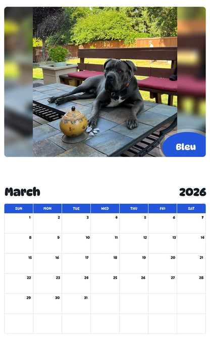 November 2025 - October 2026 Bleu - Pawidols Pet Calendar