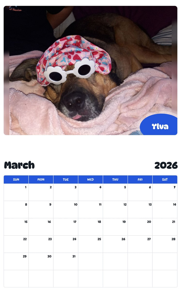 November 2025 - October 2026 Ylva - Pawidols Pet Calendar